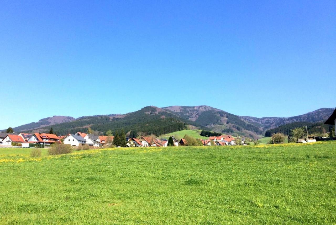 Gemuetliches Haus Im Herzen Des Schwarzwaldes Fuer Bis Zu 9 Personen Elzach Exterior photo