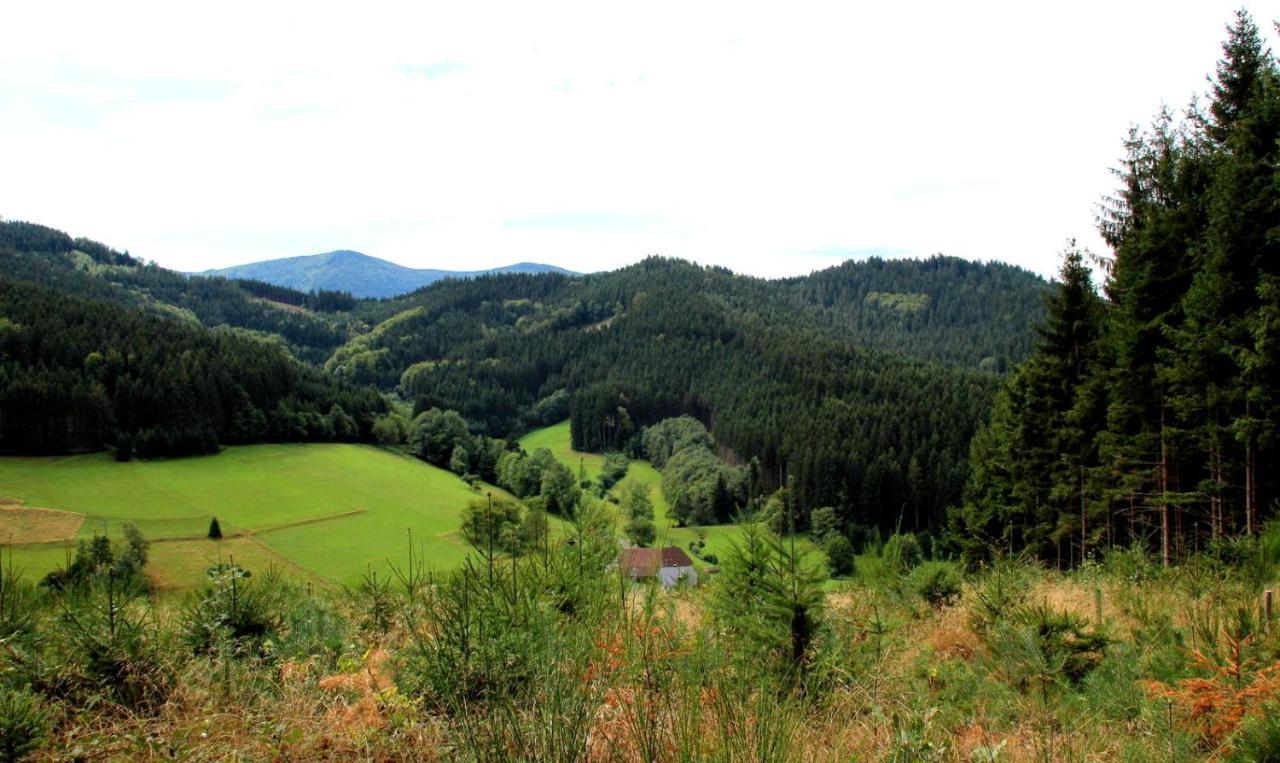 Gemuetliches Haus Im Herzen Des Schwarzwaldes Fuer Bis Zu 9 Personen Elzach Exterior photo