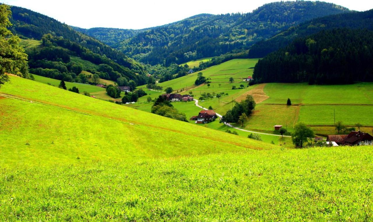 Gemuetliches Haus Im Herzen Des Schwarzwaldes Fuer Bis Zu 9 Personen Elzach Exterior photo